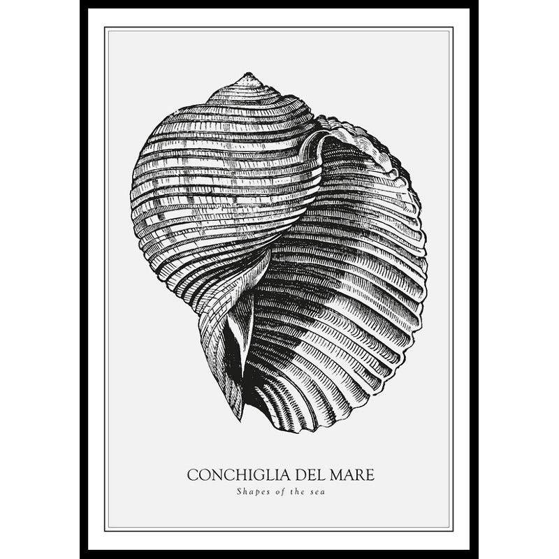 Poster Gallerix Conchiglia Del Mare