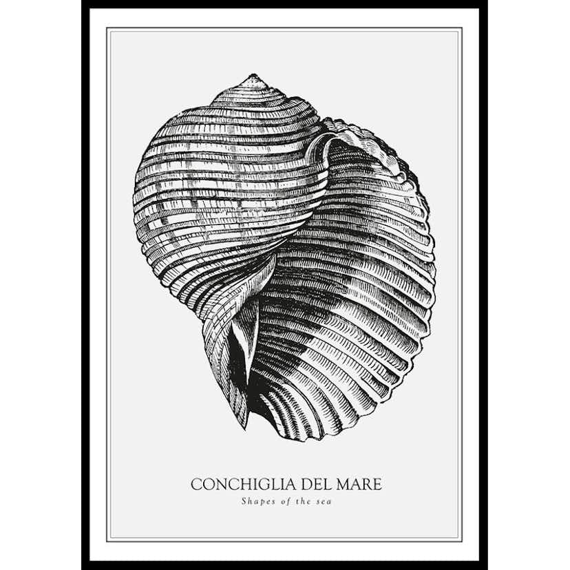 Poster Gallerix Conchiglia Del Mare