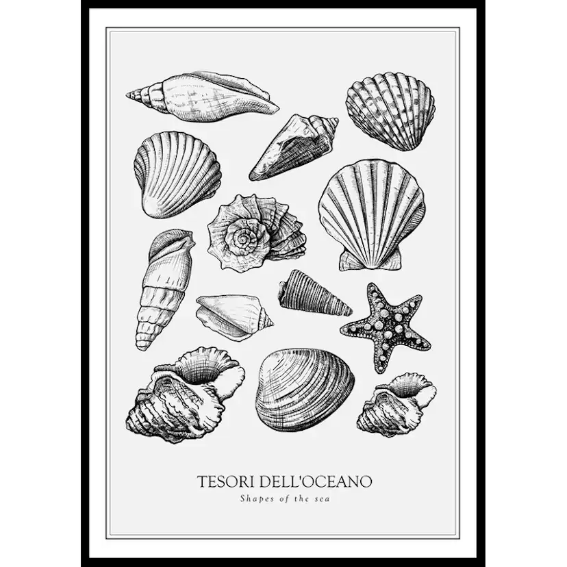 Poster Gallerix Tesori Dell'Oceano