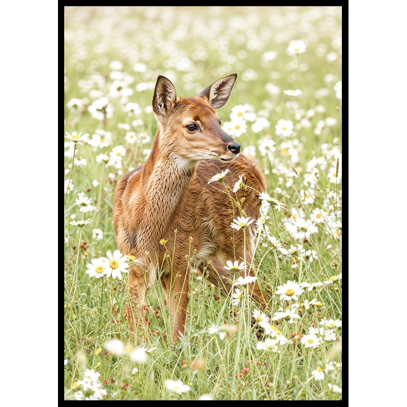 Poster Gallerix Deer in Bloom