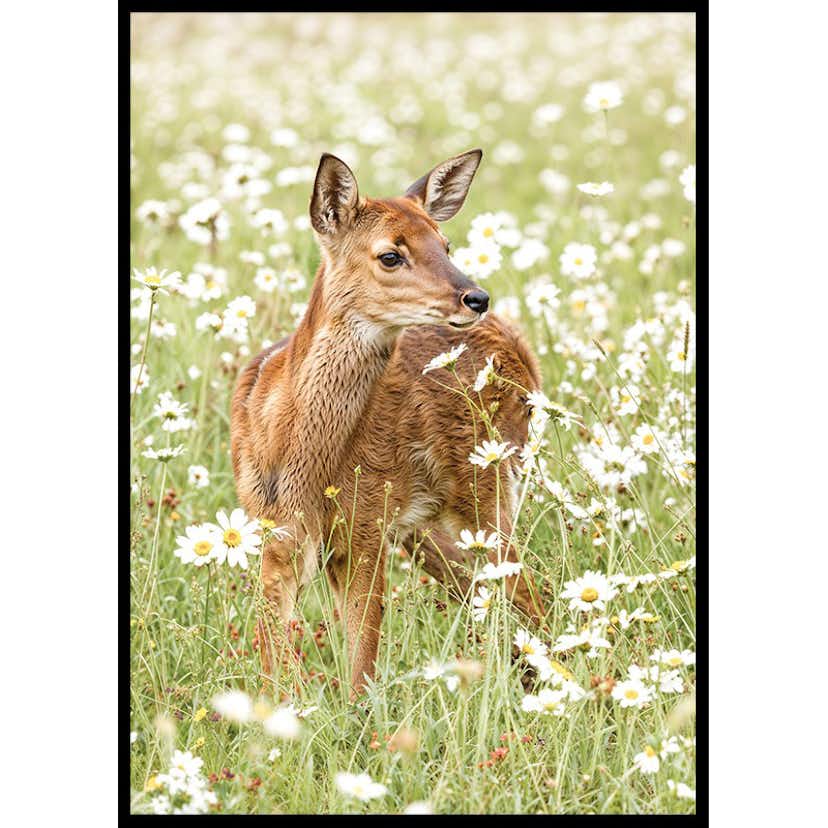 Poster Gallerix Deer in Bloom