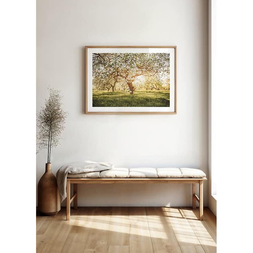 Poster Gallerix Blossom Meadow