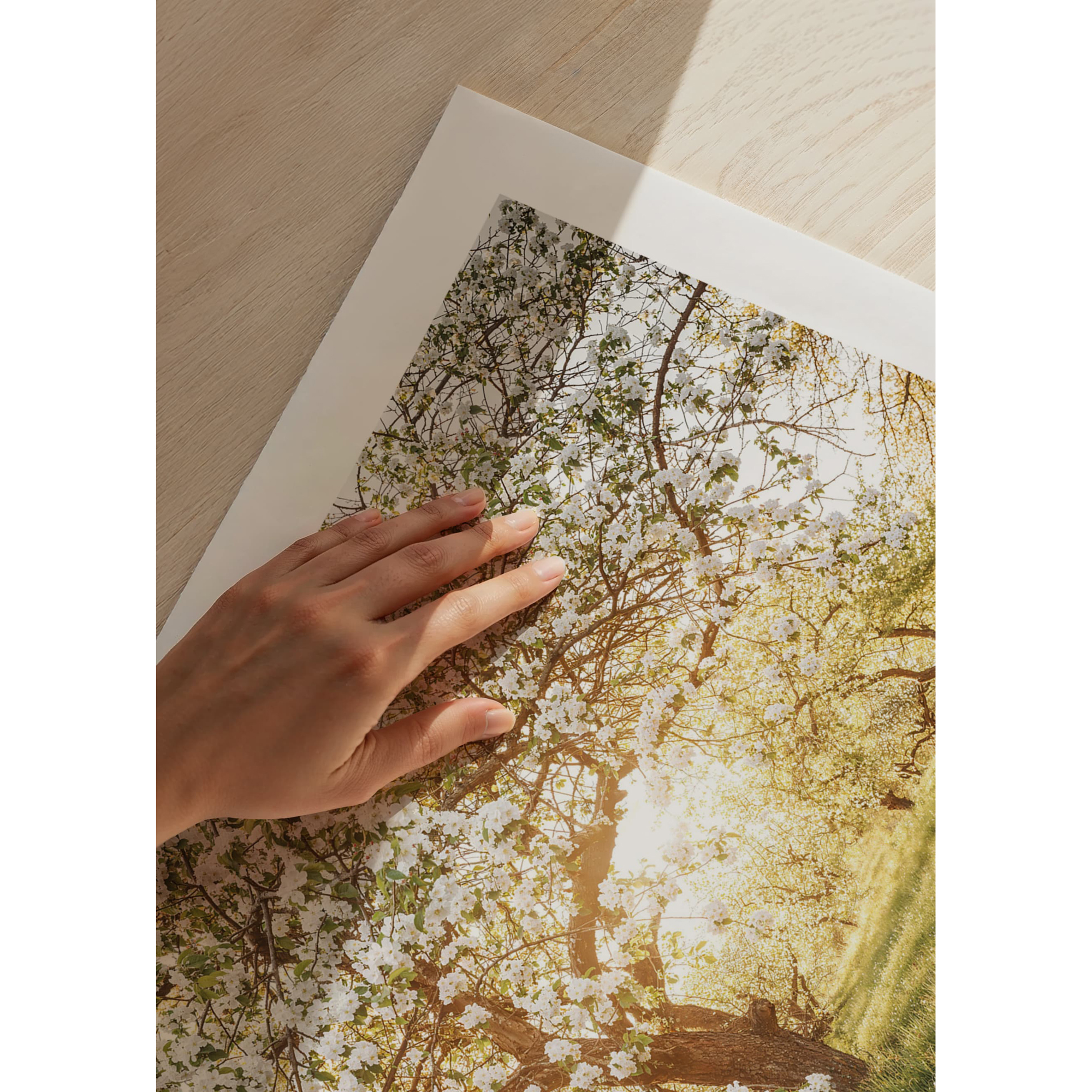 Poster Gallerix Blossom Meadow