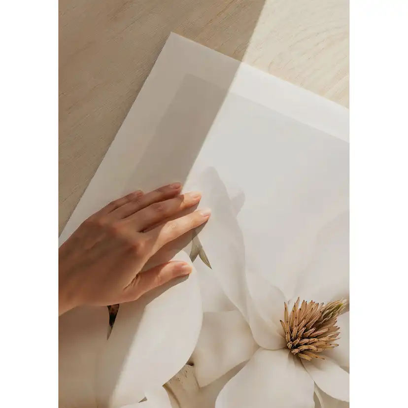 Poster Gallerix Magnolia Dream