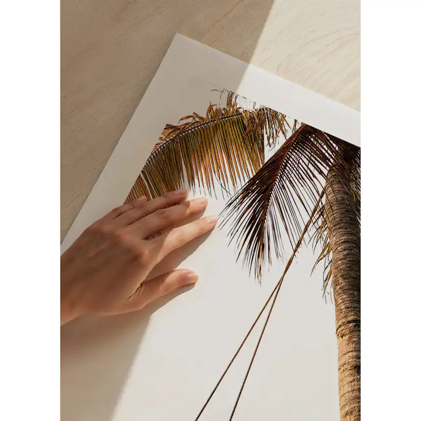 Poster Gallerix Palm Bliss Swing