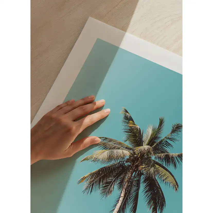 Poster Gallerix Palm Tranquility