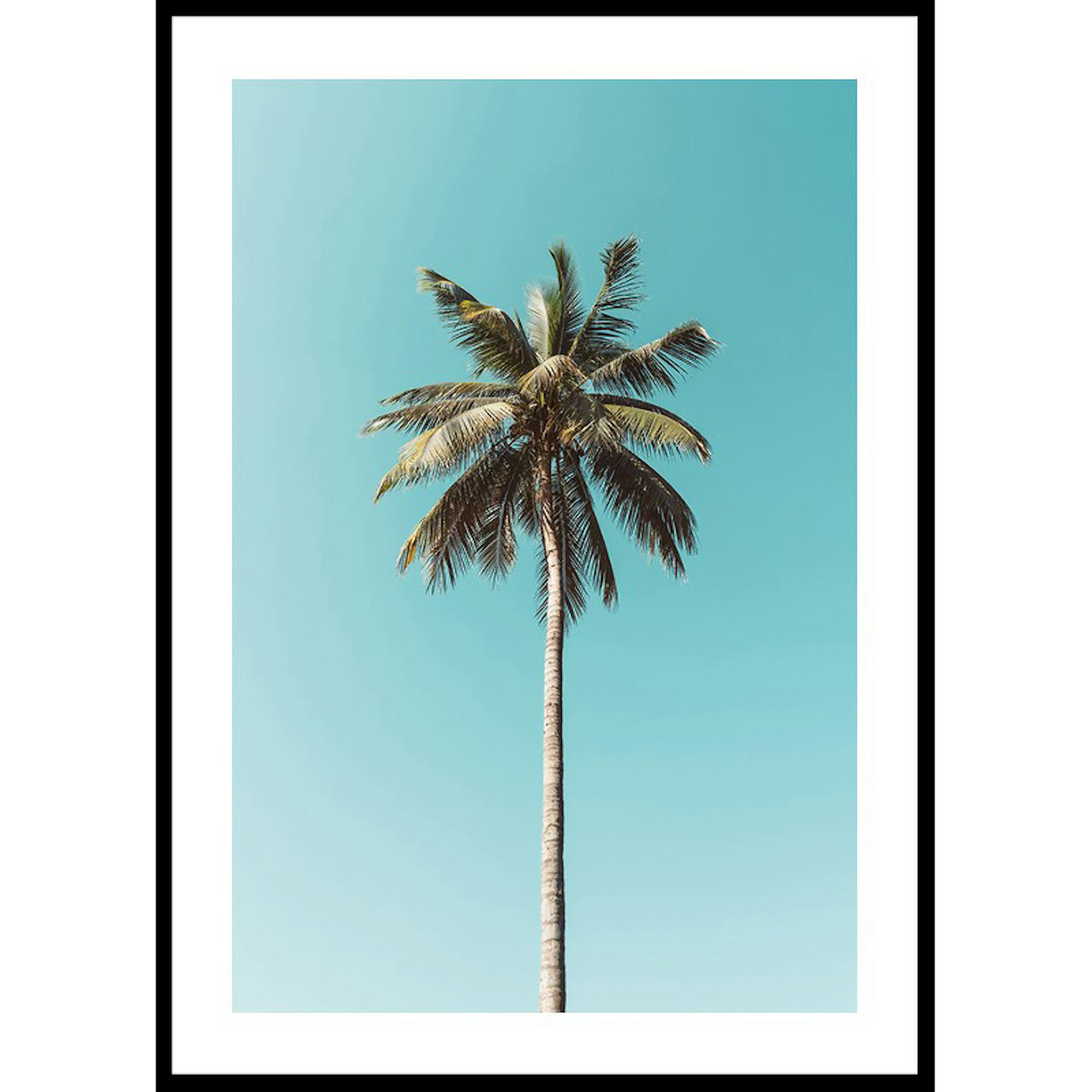 Poster Gallerix Palm Tranquility