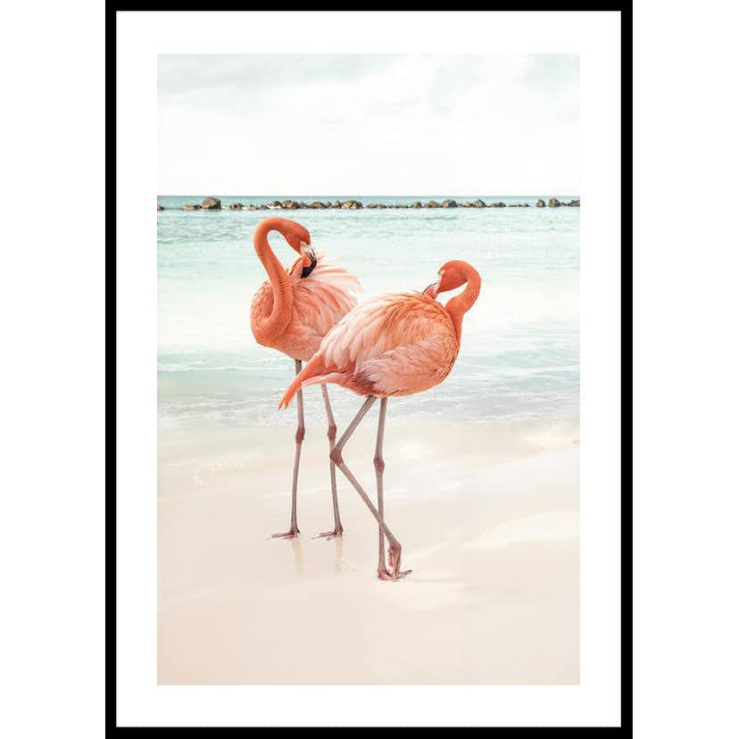 Poster Gallerix Flamingo Beach Duo