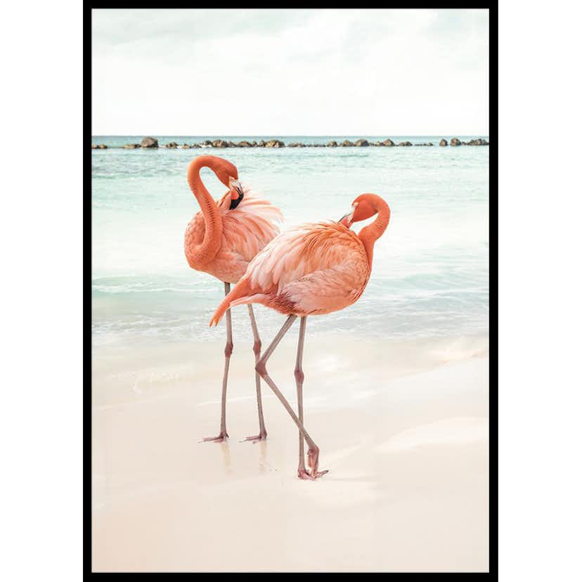 Poster Gallerix Flamingo Beach Duo