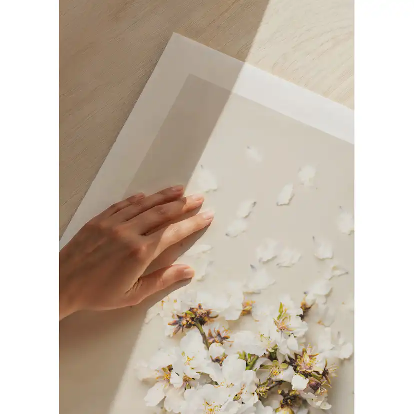 Poster Gallerix Spring Flower Sundae