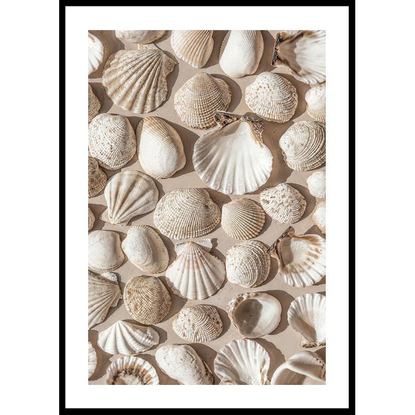 Poster Gallerix Coastal Seashell Medley