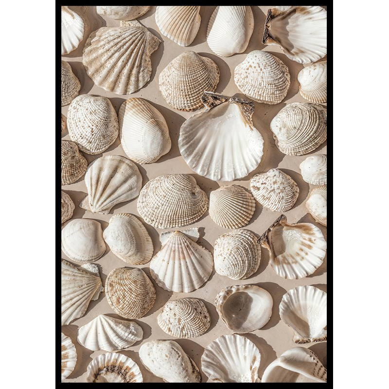 Poster Gallerix Coastal Seashell Medley
