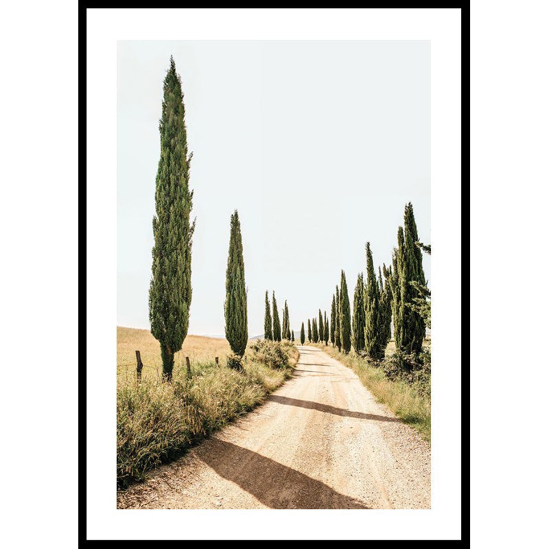 Poster Gallerix Tuscan Cypress Lane