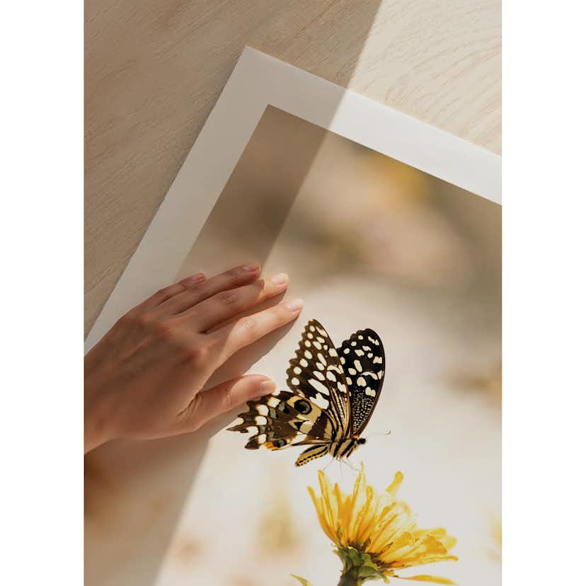 Poster Gallerix Butterfly Bliss
