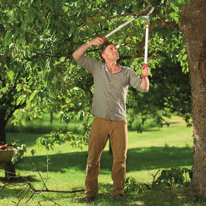 Grensax WOLF-Garten RS 800 Vario