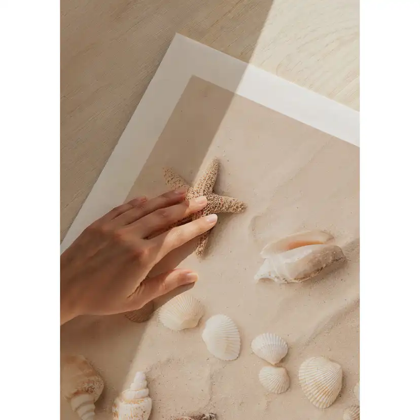 Poster Gallerix Coastal Shells