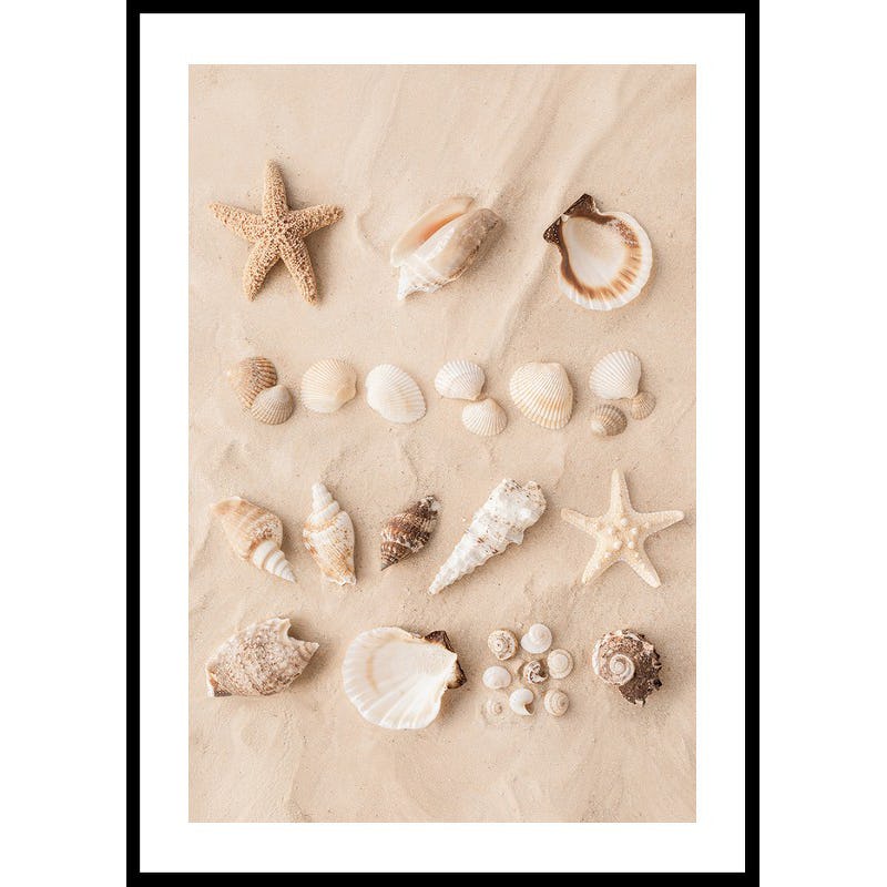 Poster Gallerix Coastal Shells