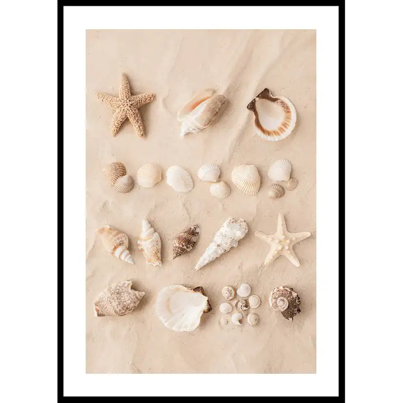Poster Gallerix Coastal Shells