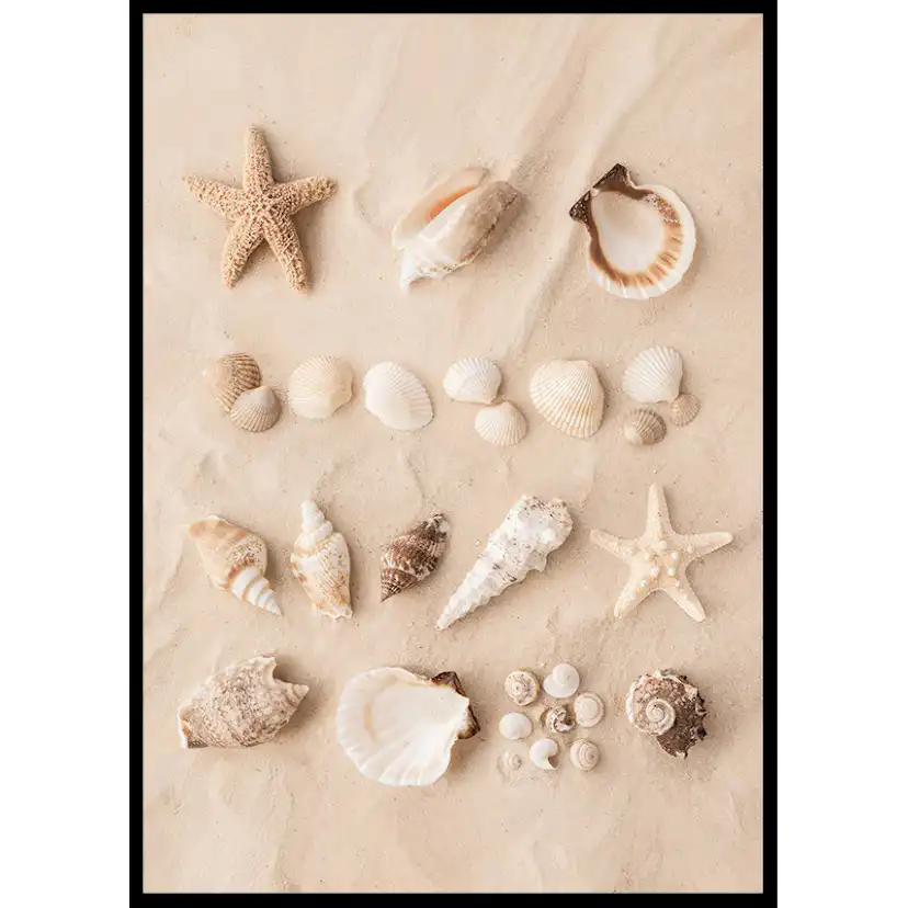 Poster Gallerix Coastal Shells