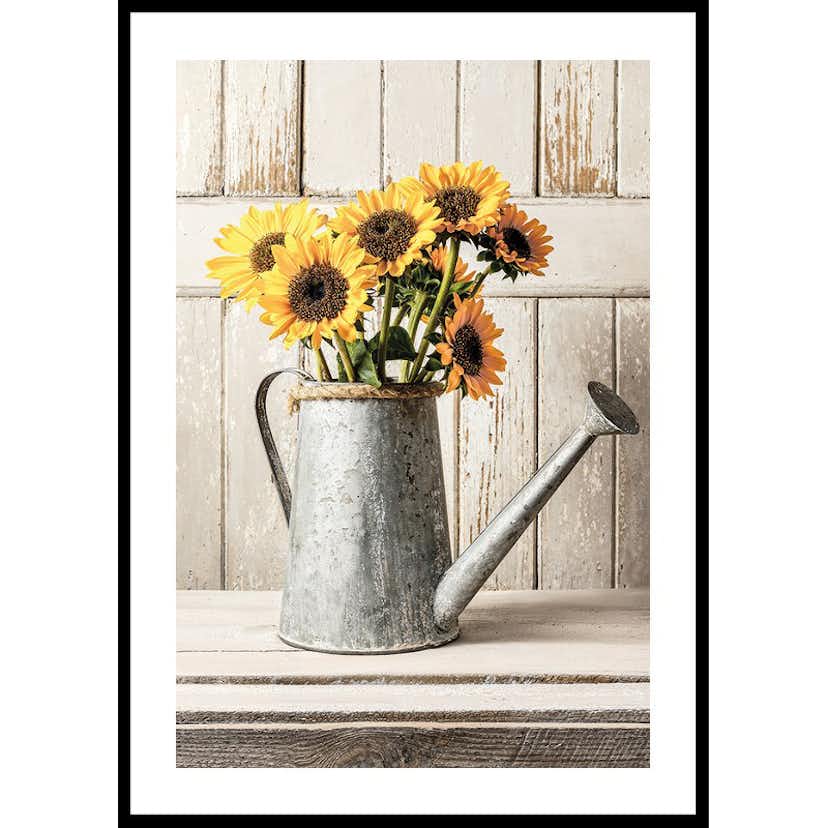 Poster Gallerix Rustic Sunflowers