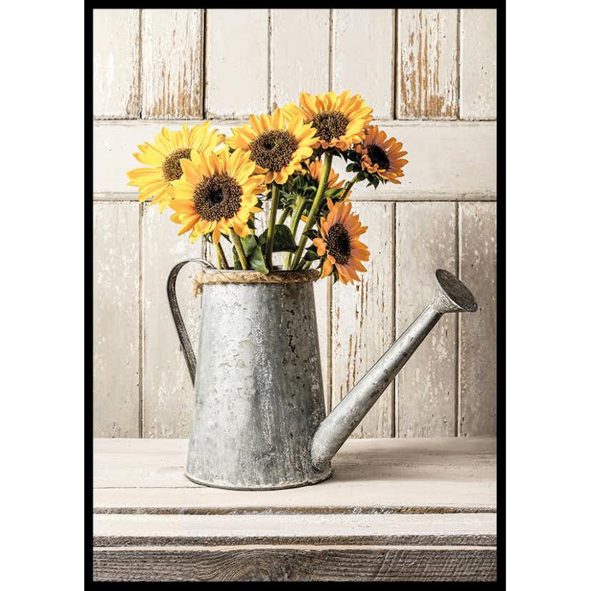 Poster Gallerix Rustic Sunflowers