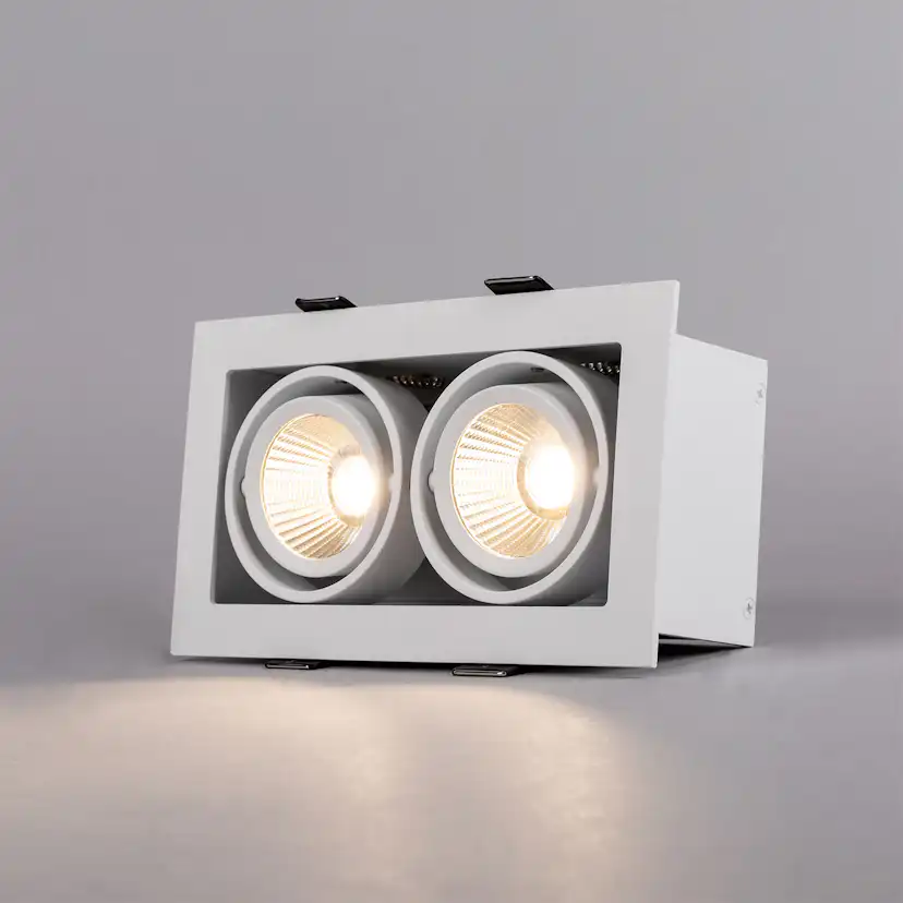 Downlight Hide-a-lite Optic Box II