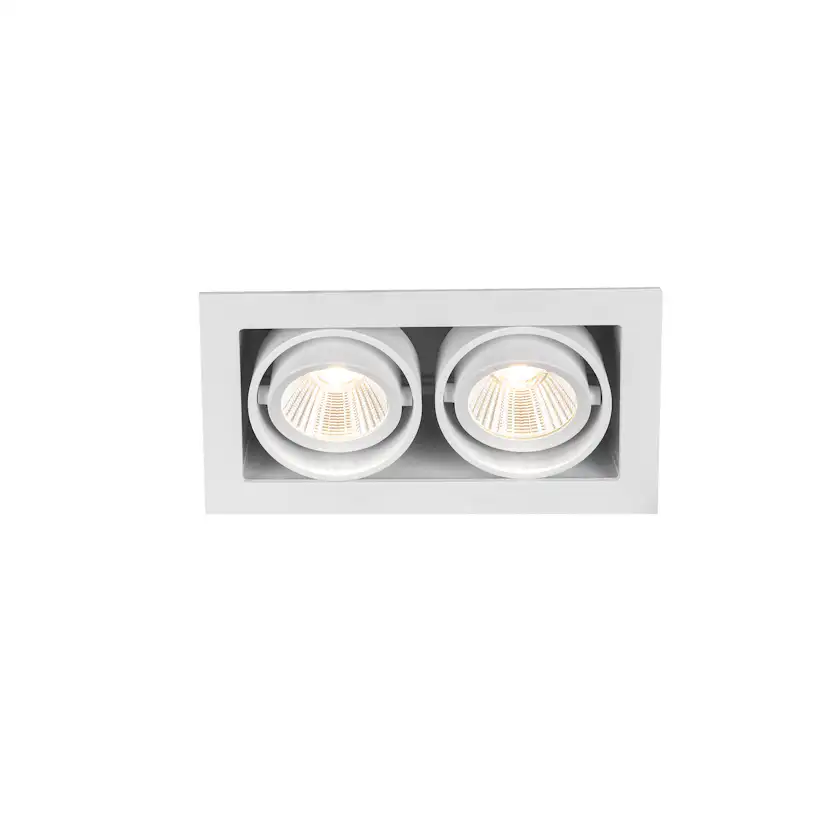 Downlight Hide-a-lite Optic Box II