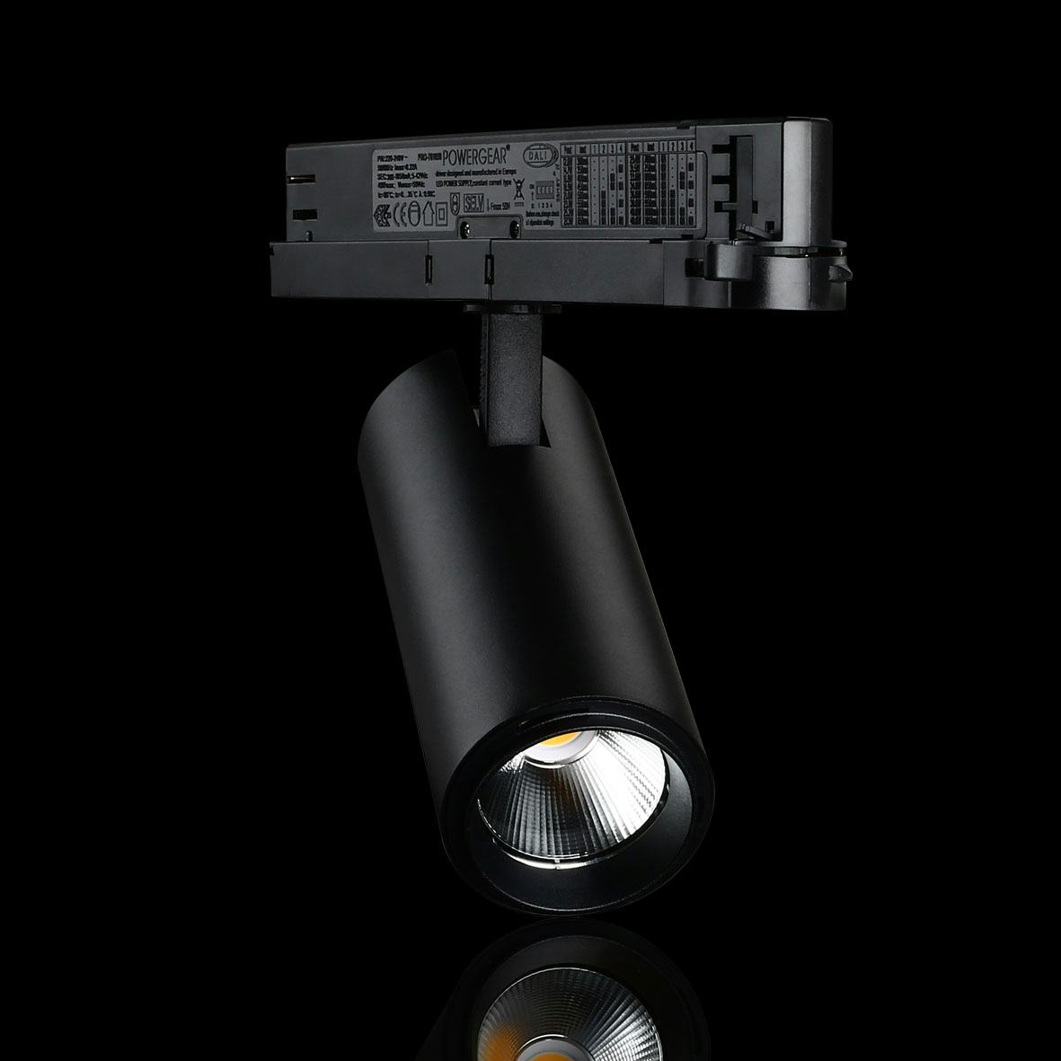 Spotlight Designlight Tracklight P Dali