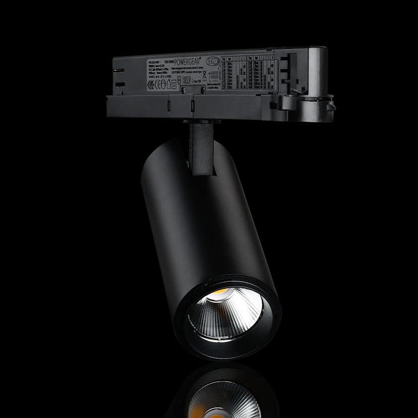 Spotlight Designlight Tracklight P Dali