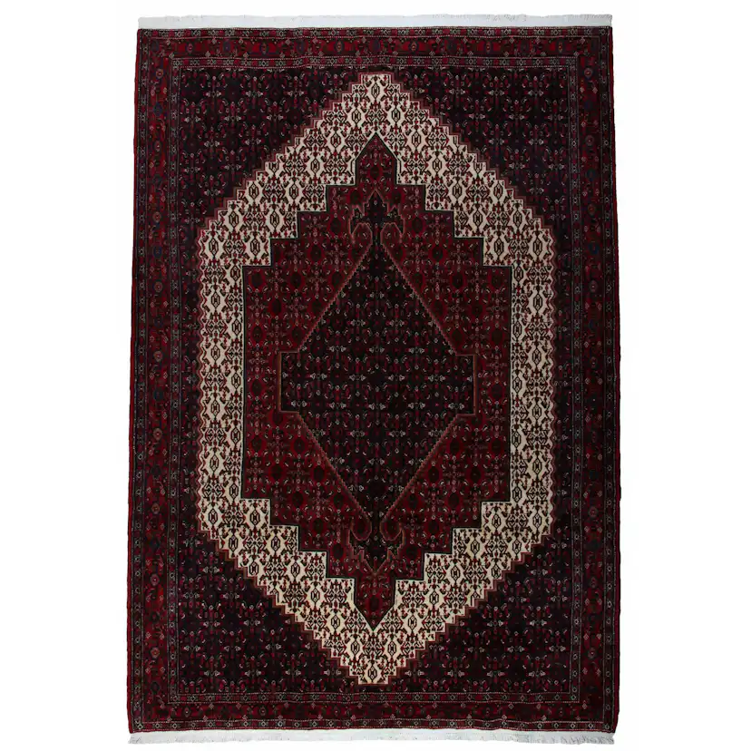 Persisk Enkelvävd Matta Arkiio Senneh Exklusiv 212x312