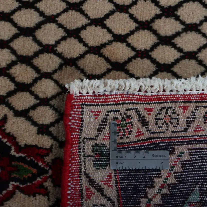 Persisk Matta Arkiio Koliai 146x376