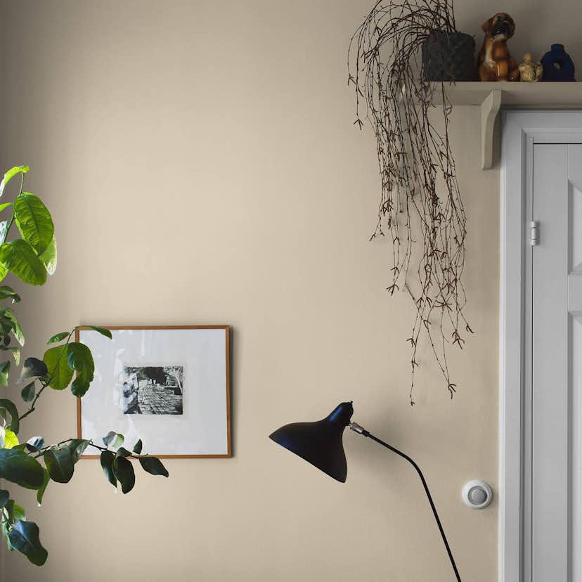 Tapet Boråstapeter Sorbet Yellow 7555