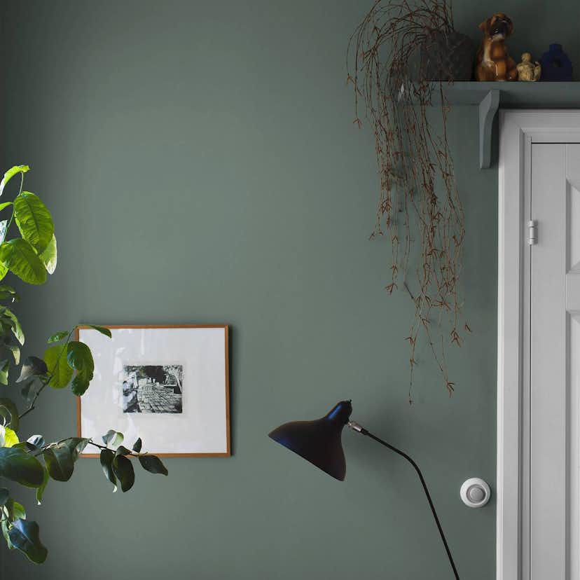 Tapet Boråstapeter Dusk Green 7556