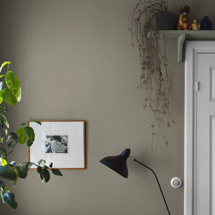 Tapet Boråstapeter Light Olive 7558