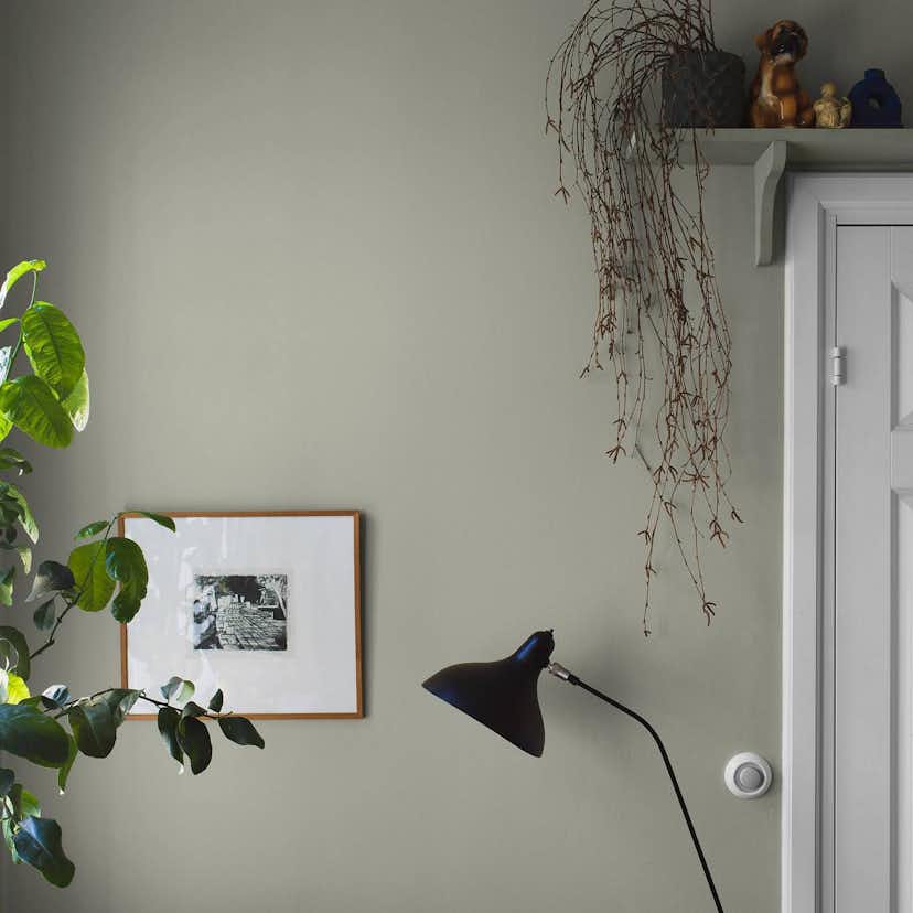 Tapet Boråstapeter Linden Green 7559