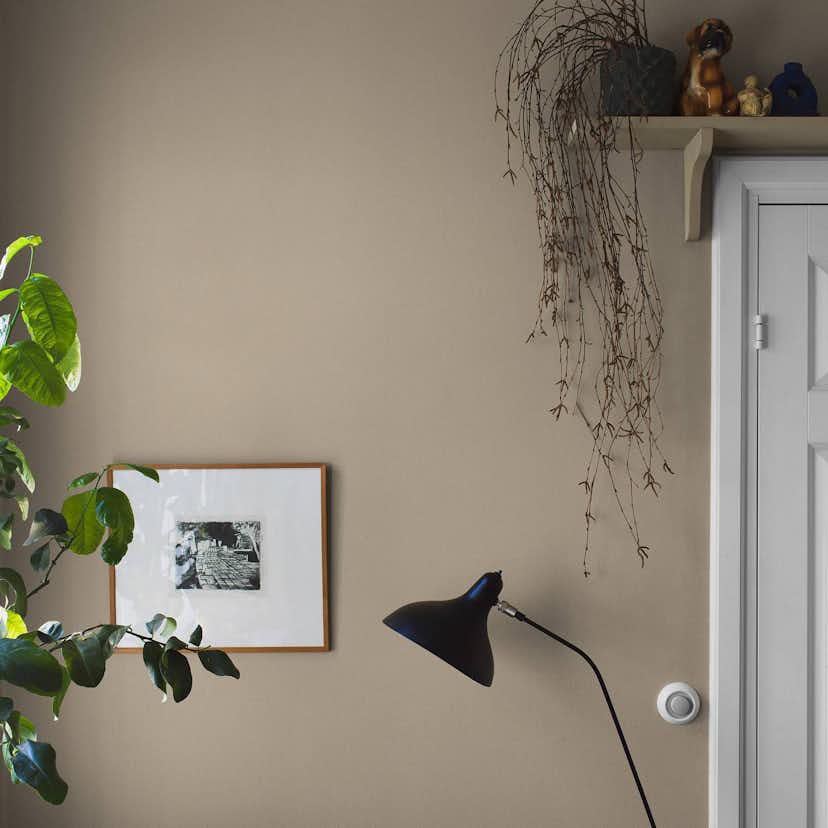 Tapet Boråstapeter Sahara Sand 7576