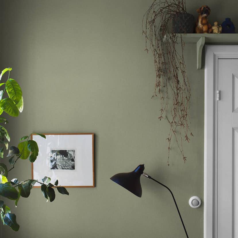 Tapet Boråstapeter Olivine Sand 7582