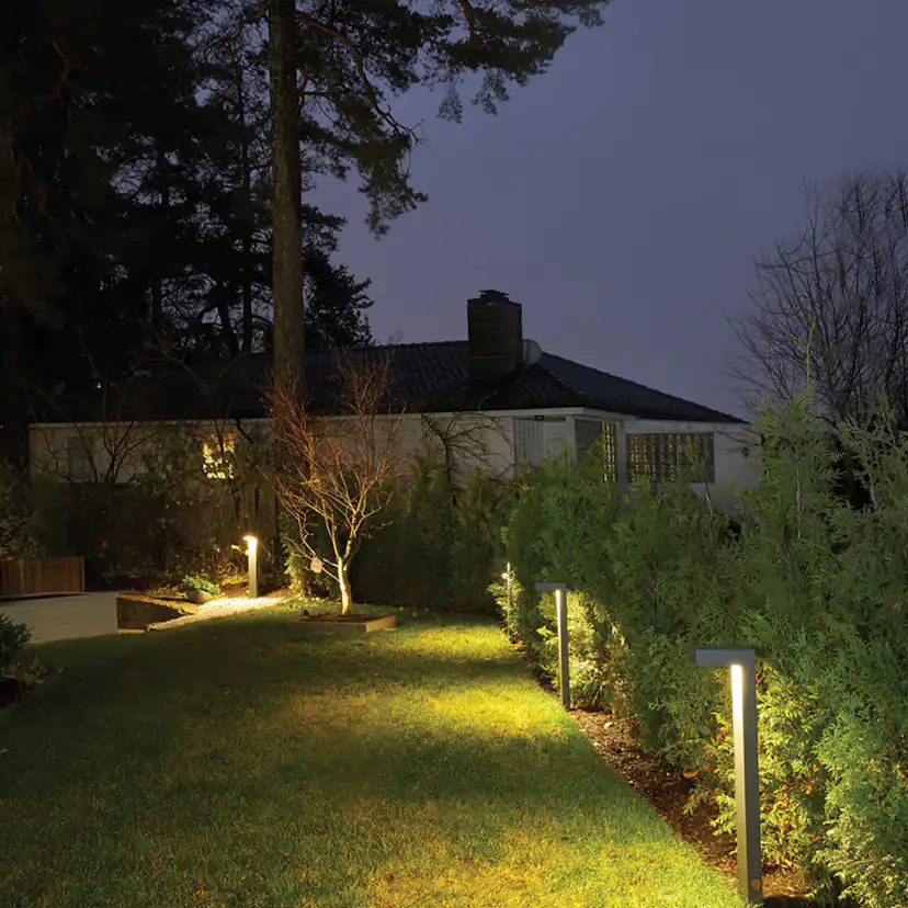 Pollare Norlys Asker 1310