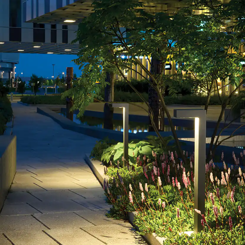 Pollare Norlys Asker 1310