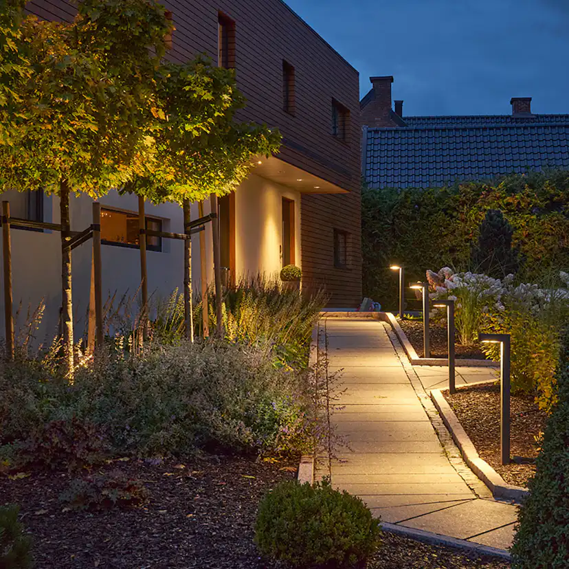 Pollare Norlys Asker 1310