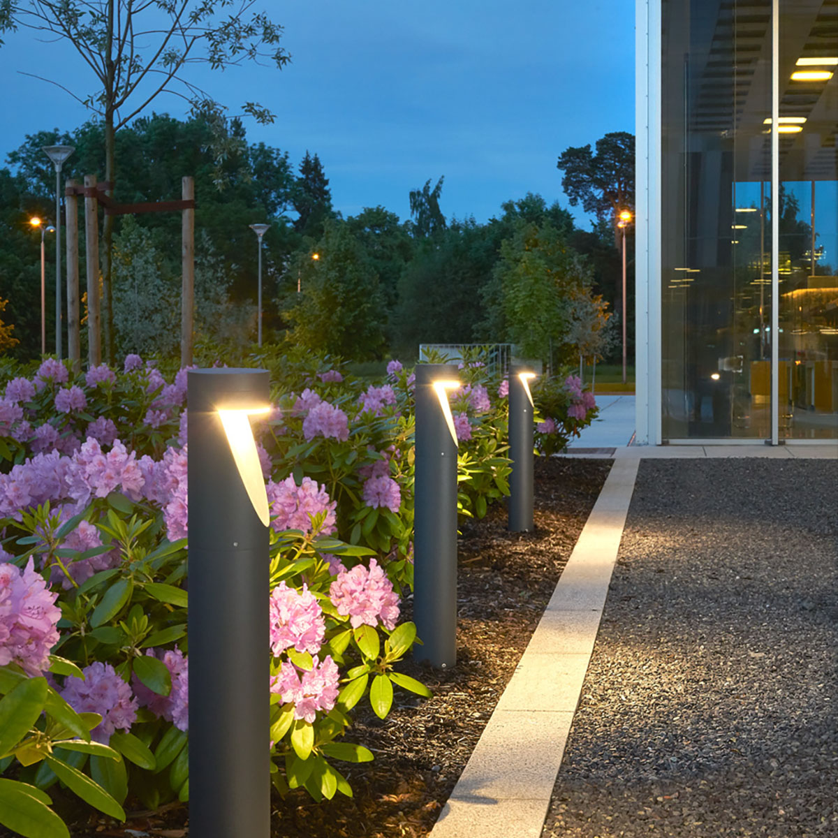 Pollare Norlys Oppland 5123