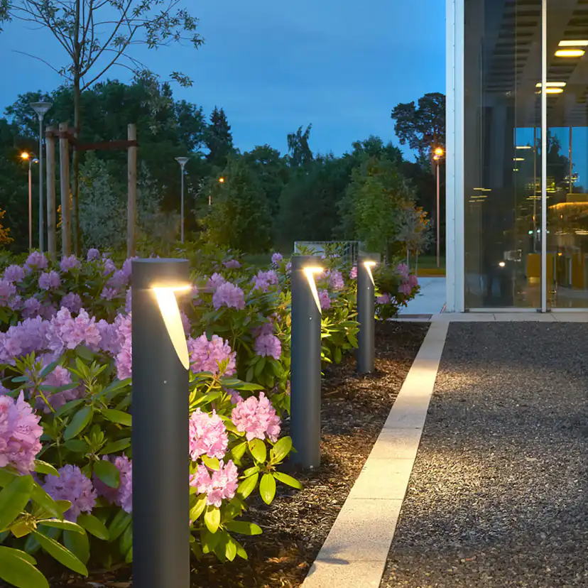 Pollare Norlys Oppland 5123