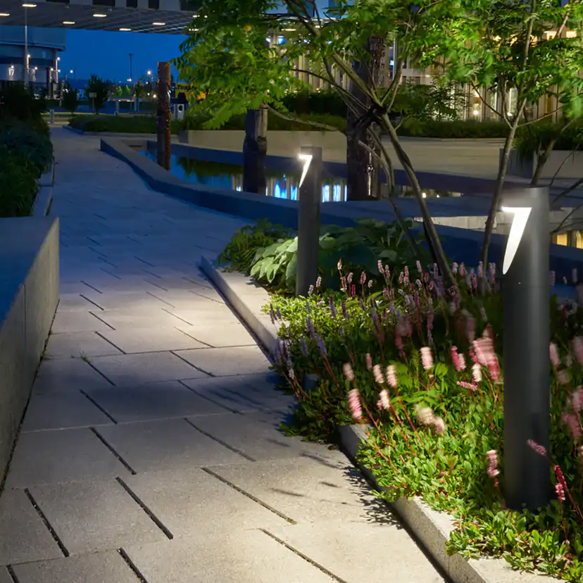 Pollare Norlys Oppland 5123