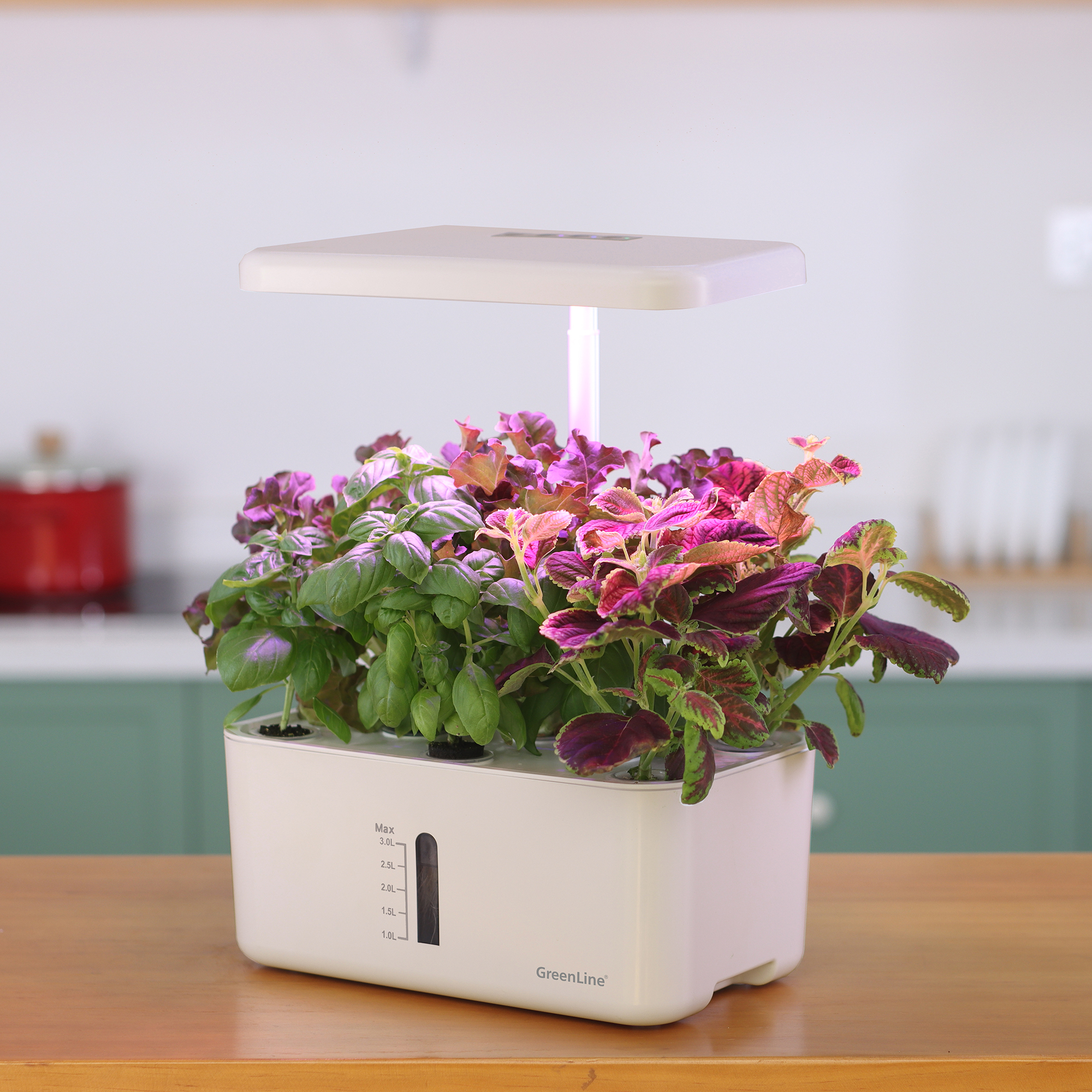 Odlingsset GreenLine Urban Growing 8-Pack