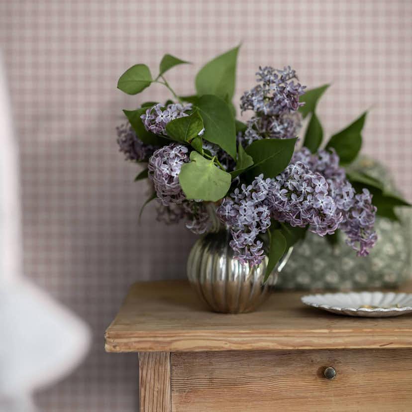 Tapet Boråstapeter Picnic Check 7870