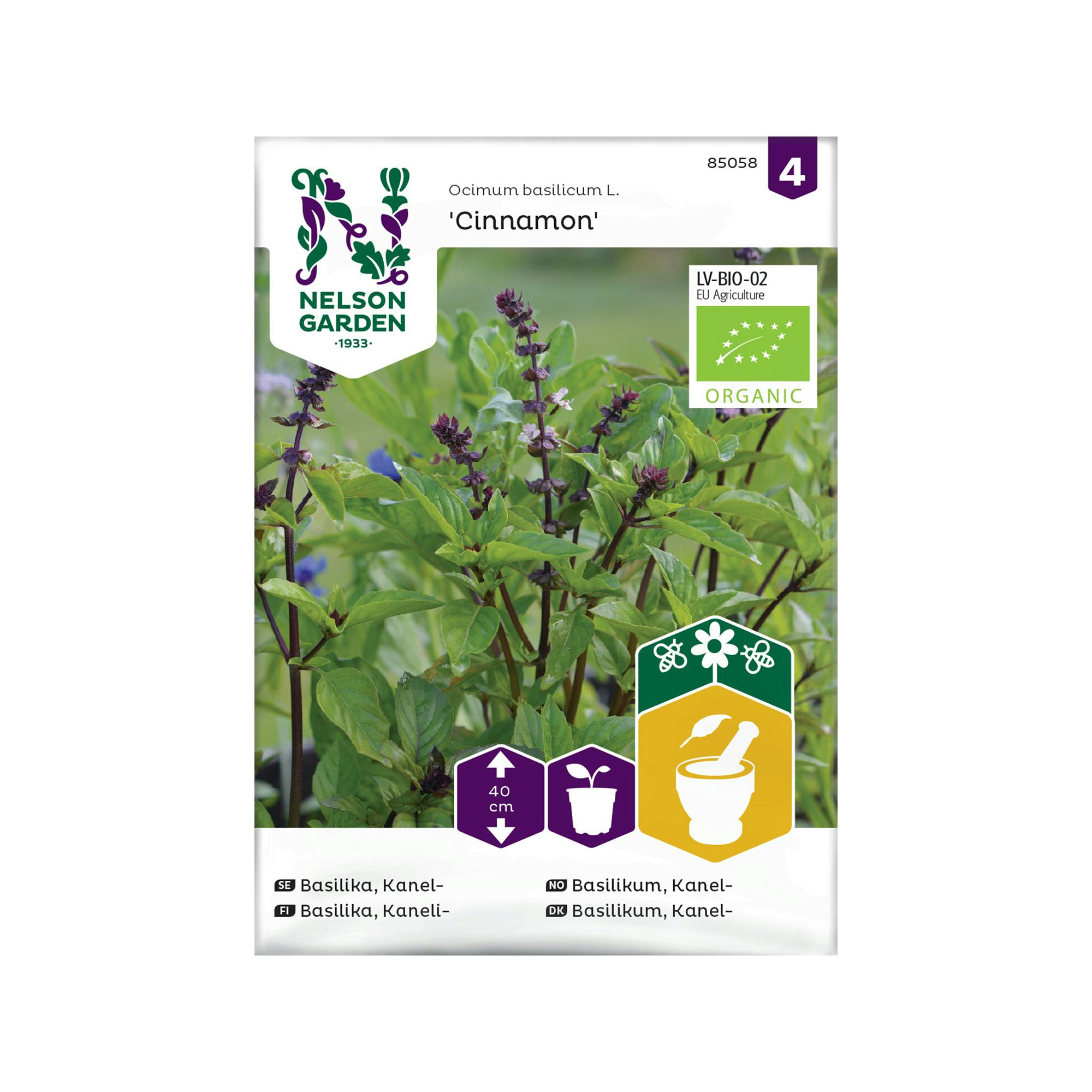 Frö Basilika Kanel Nelson Garden Cinnamon