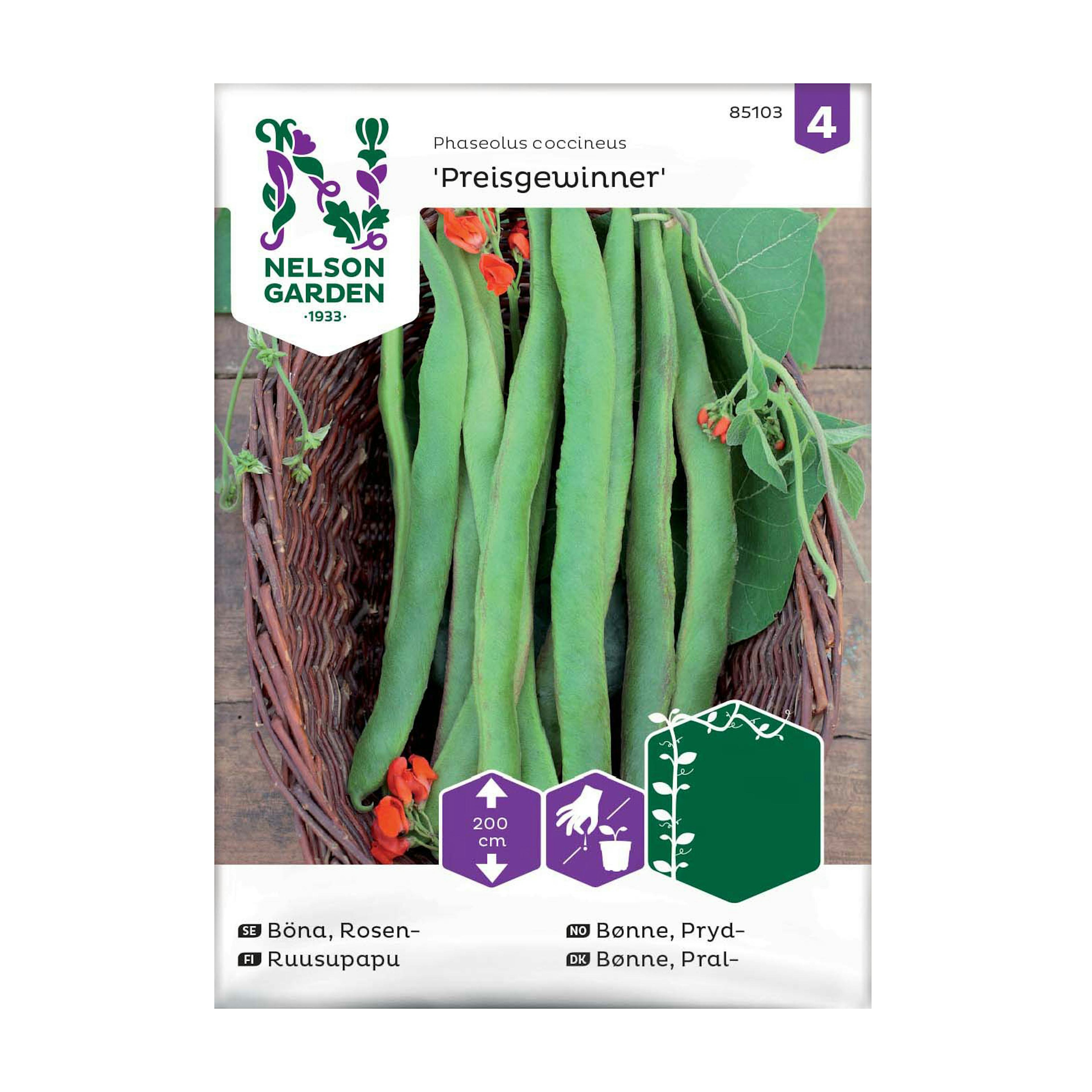 Frö Rosenböna Nelson Garden Preisgewinner