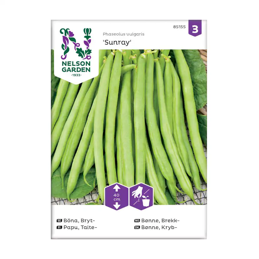 Frö Brytböna Nelson Garden Sunray