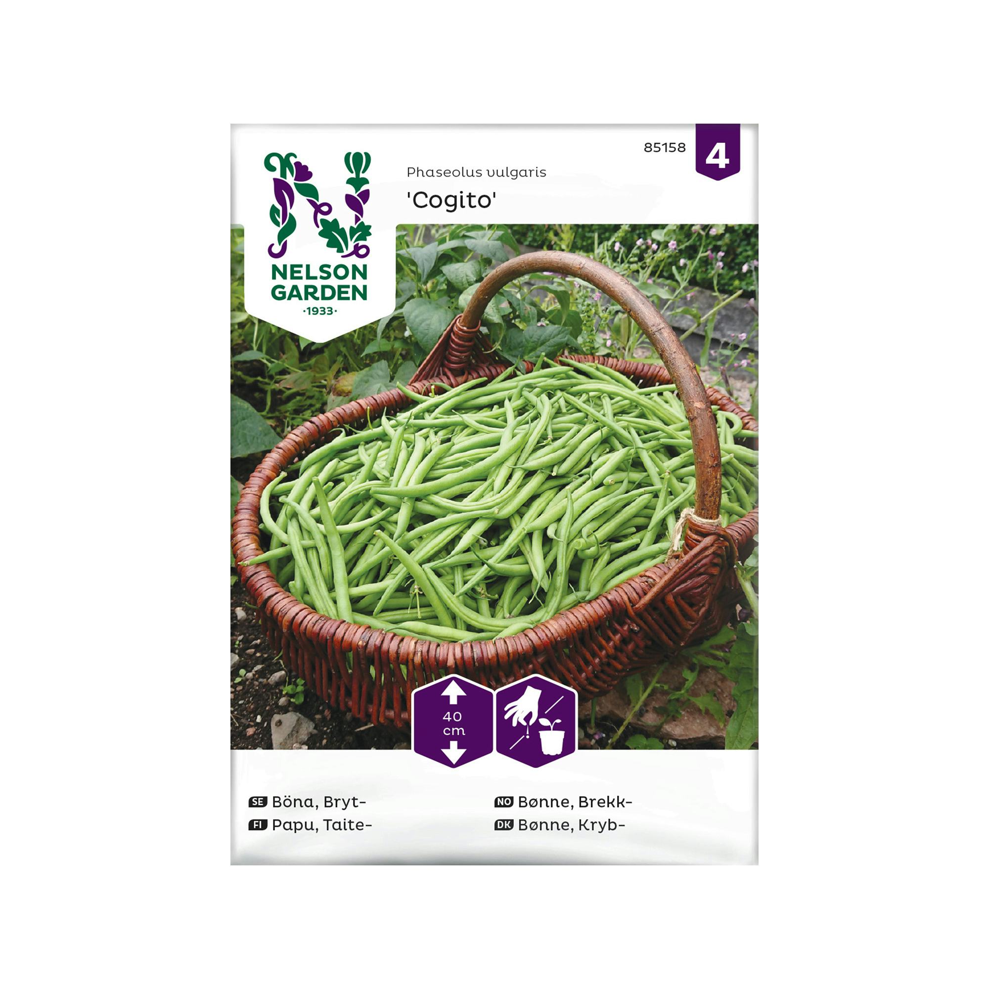Frö Brytböna Nelson Garden Cogito
