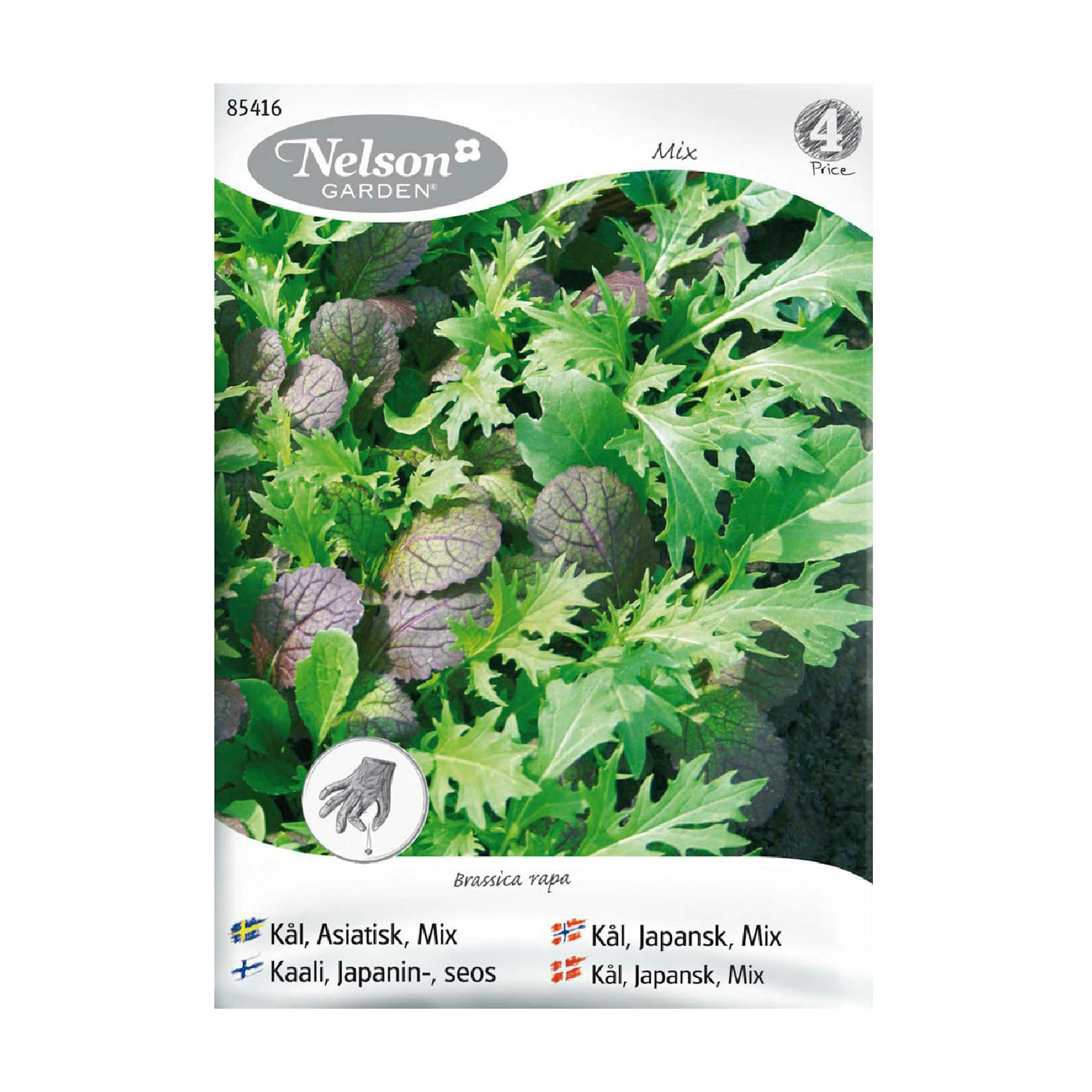Frö Asiatisk Kål Nelson Garden Mix